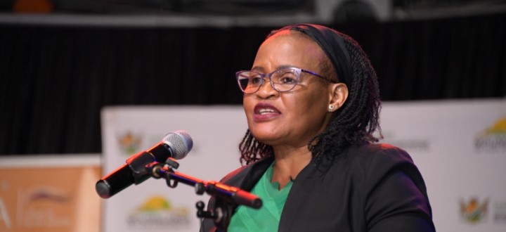 MEC representative Ms Duduzile Mdluli.jpeg